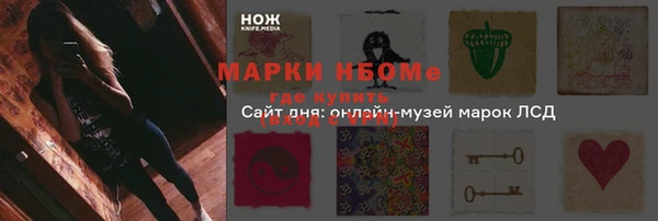 гидра Алексеевка