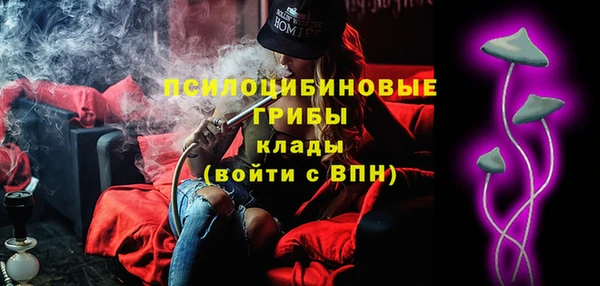 ECSTASY Алзамай