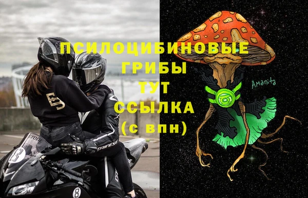 гидра Алексеевка