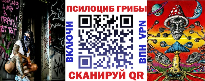 Купить закладки  Белинский  Галлюциногенные грибы Magic Shrooms 